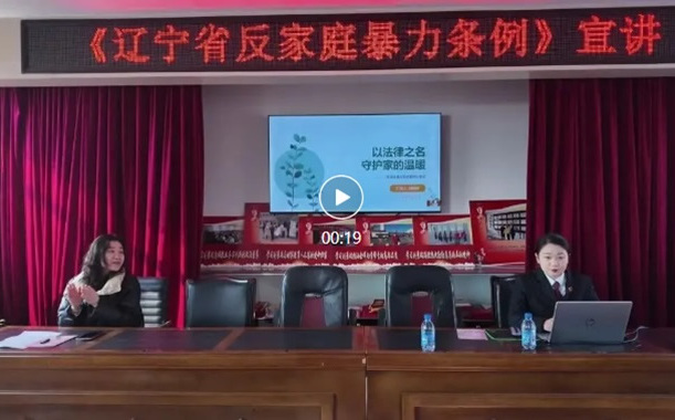 法护巾帼 向家暴说不